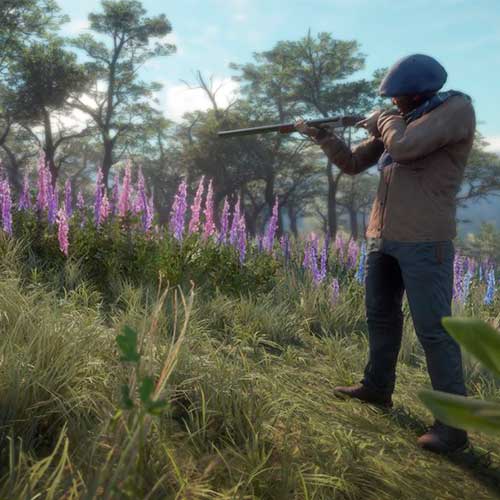 theHunter Call of the Wild - Weapon Pack 2 DLC Cd Key Steam Global